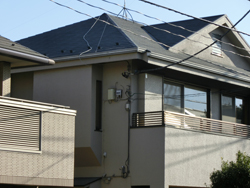 HO1